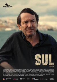 Постер фильма: Sul