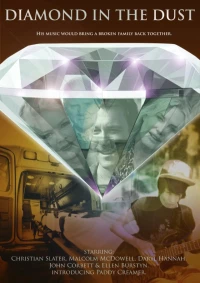 Постер фильма: Diamond in the Dust