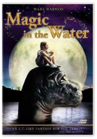 Постер фильма: Волшебное Озеро