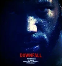 Постер фильма: DownFall