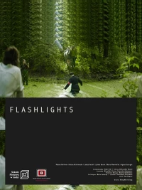Постер фильма: Flashlights