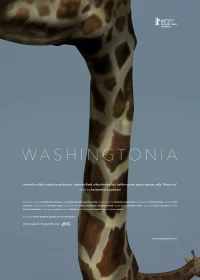 Постер фильма: Washingtonia