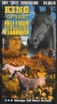 Постер фильма: King of the Stallions
