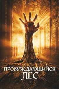 Постер фильма: Пробуждающийся лес