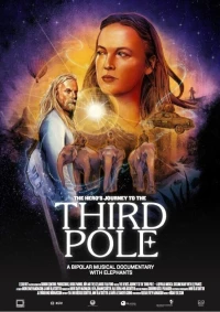 Постер фильма: The Hero's Journey to the 3rd Pole