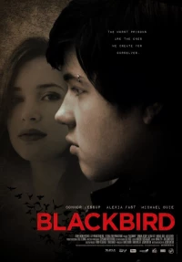 Постер фильма: Чёрный дрозд