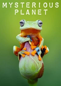Постер фильма: Таинственная планета