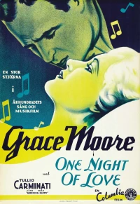 Постер фильма: Одна ночь любви