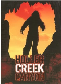 Постер фильма: Bigfoot at Holler Creek Canyon