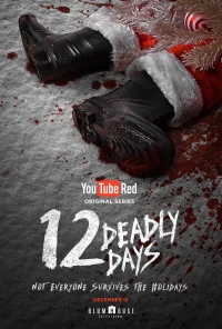Постер фильма: 12 смертельных дней