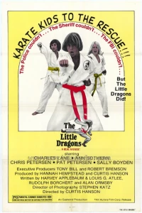 Постер фильма: Маленькие драконы