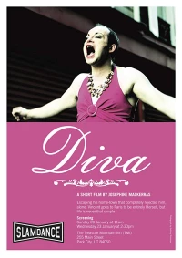 Постер фильма: Diva