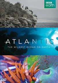 Постер фильма: Atlantic: The Wildest Ocean on Earth