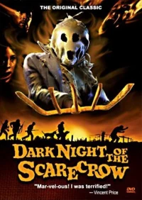 Постер фильма: Тёмная ночь пугала