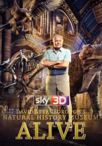 Постер фильма: Музей естественной истории с Дэвидом Аттенборо