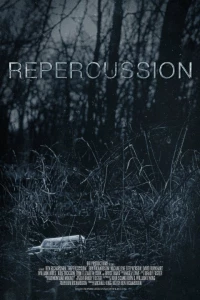 Постер фильма: Repercussion