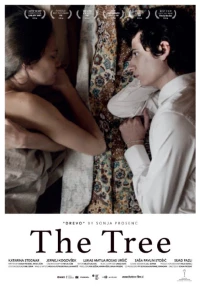 Постер фильма: Дерево