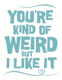 Постер фильма: You're Kind of Weird But I Like It