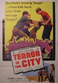 Постер фильма: Ужас в городе