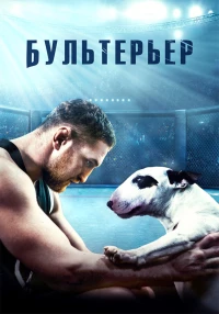 Постер фильма: Бультерьер