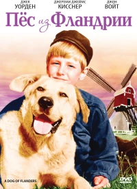 Постер фильма: Пёс из Фландрии