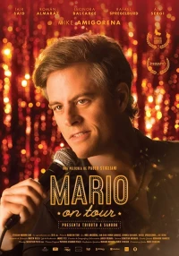 Постер фильма: Mario on Tour