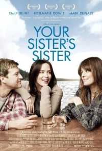 Постер фильма: Сестра твоей сестры