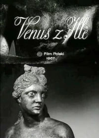 Постер фильма: Венера из Илля
