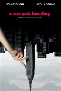 Постер фильма: Нью-йоркская история любви