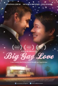 Постер фильма: Большая гей-любовь