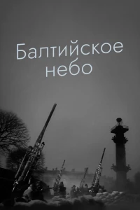 Постер фильма: Балтийское небо