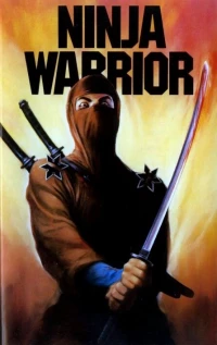 Постер фильма: Война ниндзя