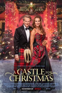 Постер фильма: Замок к Рождеству