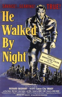 Постер фильма: Он бродил по ночам