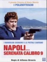 Постер фильма: Неаполитанская серенада девятого калибра