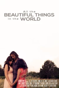 Постер фильма: All the Beautiful Things in the World