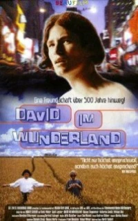 Постер фильма: Давид в стране чудес