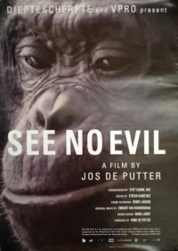 Постер фильма: Не вижу зла
