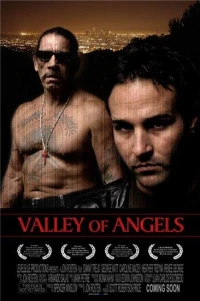 Постер фильма: Долина ангелов