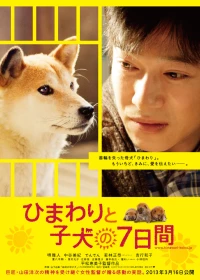 Постер фильма: Семь дней Химавари и ее щенков