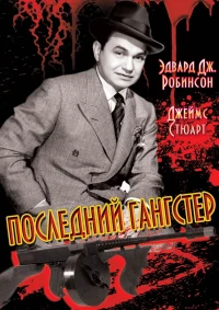 Постер фильма: Последний гангстер