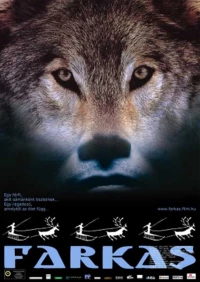 Постер фильма: Волк