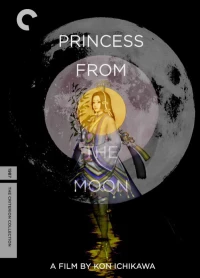 Постер фильма: Принцесса с луны