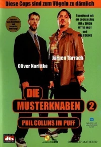 Постер фильма: Die Musterknaben 2