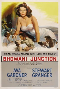 Постер фильма: Станция Бховани
