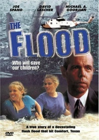Постер фильма: Наводнение: Кто спасёт наших детей?