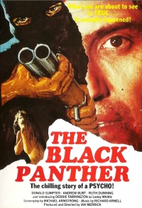Постер фильма: Чёрная пантера