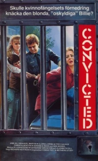 Постер фильма: Convicted: A Mother's Story