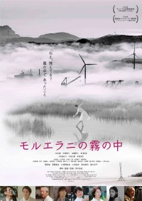 Постер фильма: Низины в тумане