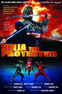 Постер фильма: Ниндзя-защитник